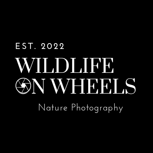 Wildlife-On-Wheels