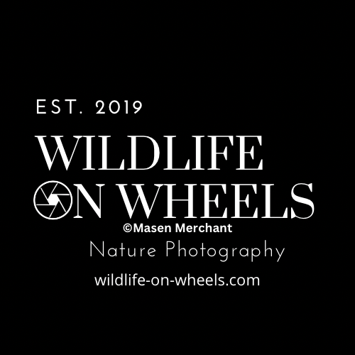 Wildlife-On-Wheels